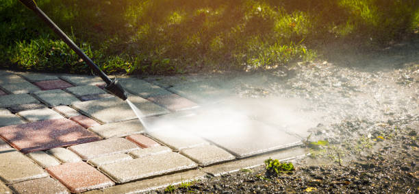Best Sidewalk and Walkway Cleaning  in Seagoville, TX